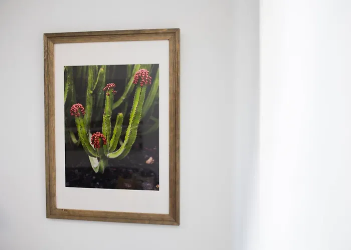 Begui Apartament Las Palmas de Gran Canaria